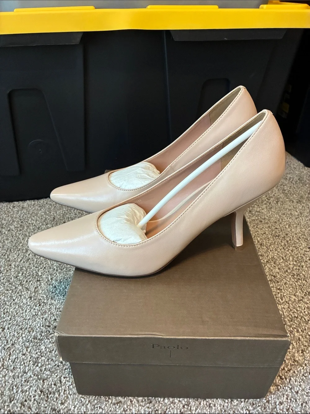 Paolo Pointed Toe Stiletto Pumps - Blush Nude
